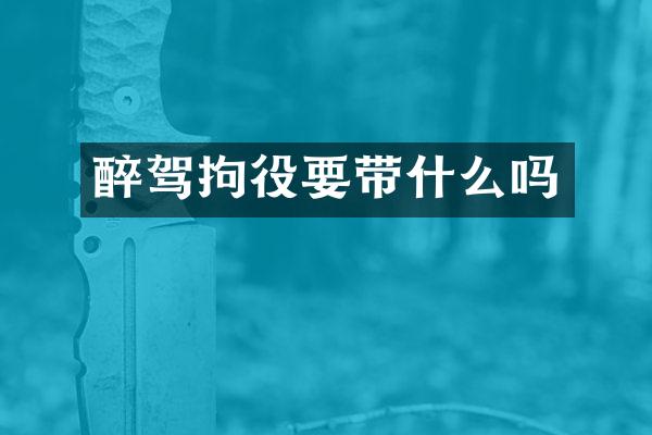 醉驾拘役要带什么吗