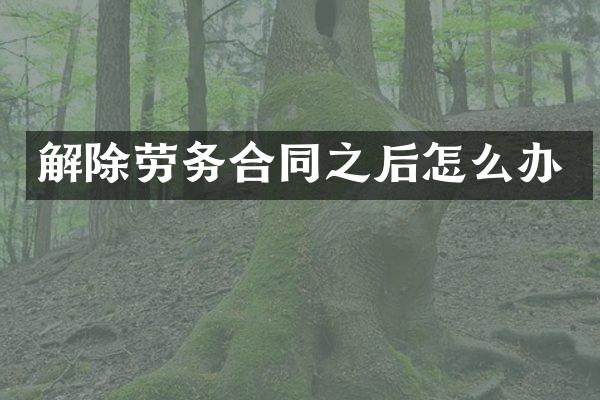 解除劳务合同之后怎么办
