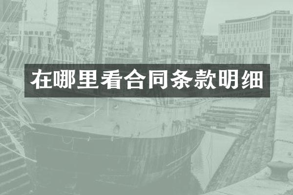 在哪里看合同条款明细