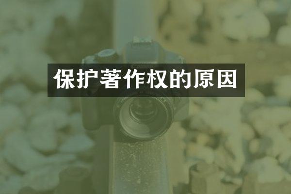保护著作权的原因