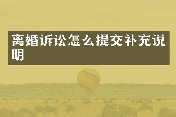 离婚诉讼怎么提交补充说明