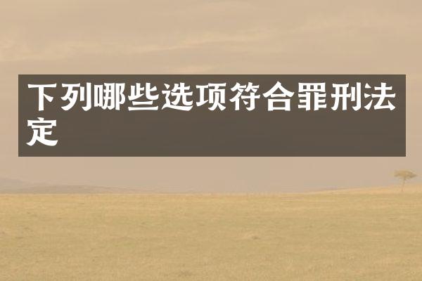 下列哪些选项符合罪刑法定