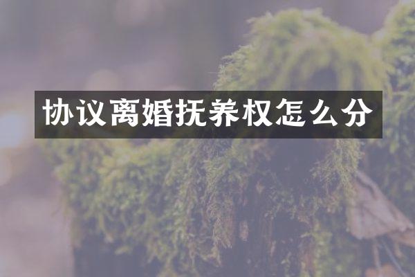 协议离婚抚养权怎么分