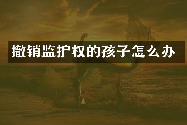 撤销监护权的孩子怎么办