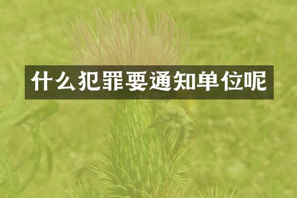 什么犯罪要通知单位呢