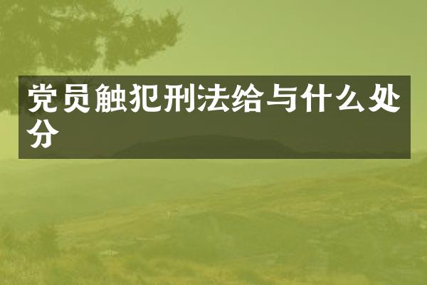 党员触犯刑法给与什么处分