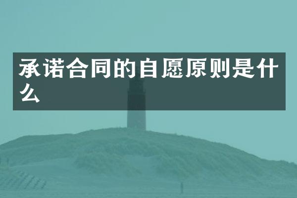 承诺合同的自愿原则是什么