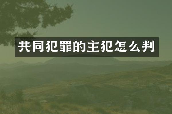 共同犯罪的怎么判