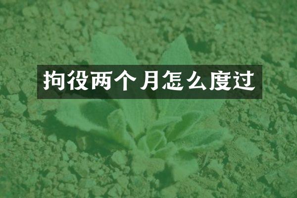 拘役两个月怎么度过