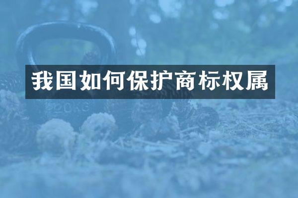 我国如何保护商标权属