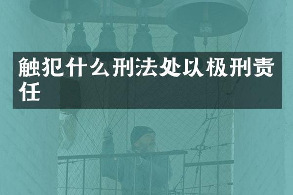 触犯什么刑法处以极刑责任