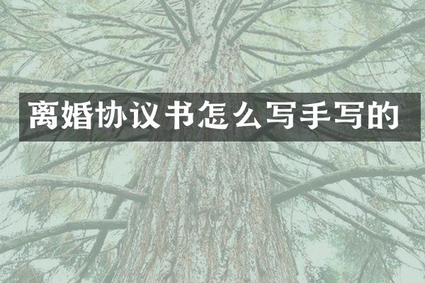 离婚协议书怎么写手写的