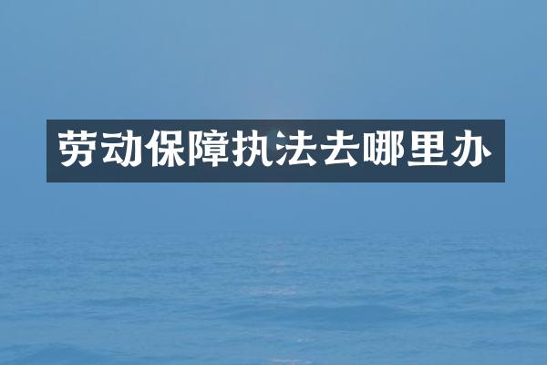 劳动保障执法去哪里办