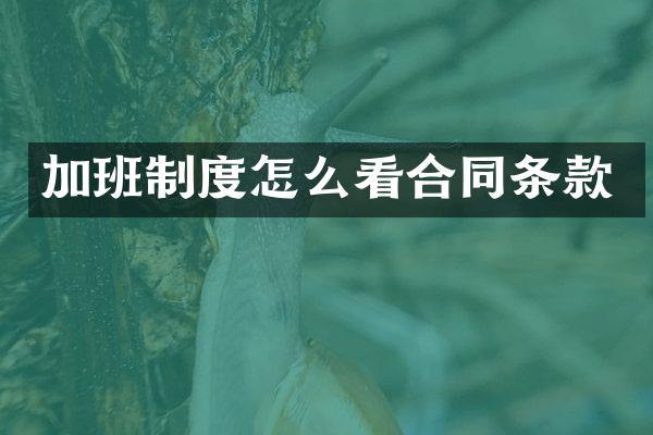 加班制度怎么看合同条款