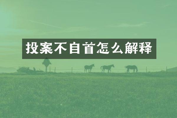 投案不自首怎么解释