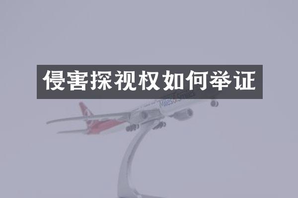 侵害探视权如何举证
