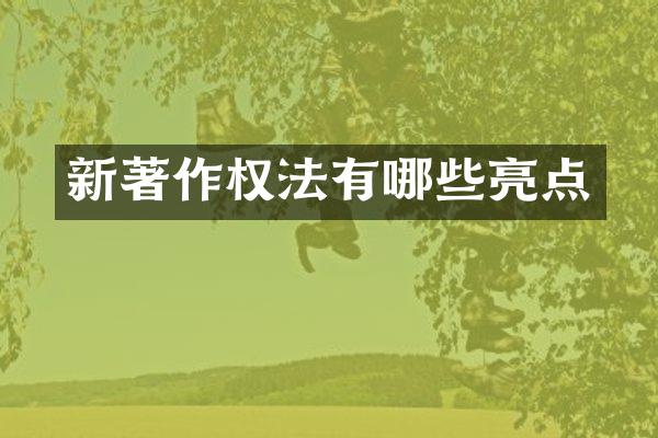 新著作权法有哪些亮点
