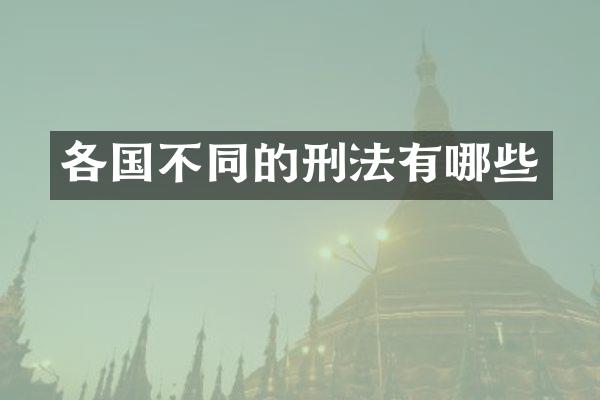 各国不同的刑法有哪些