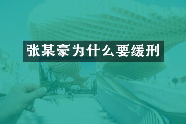 张某豪为什么要缓刑