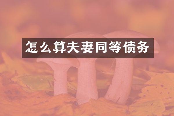 怎么算夫妻同等债务
