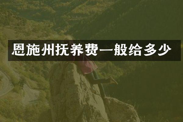 恩施州抚养费一般给多少