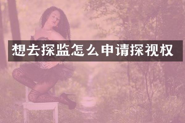 想去探监怎么申请探视权