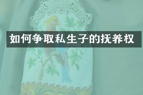 如何争取私生子的抚养权