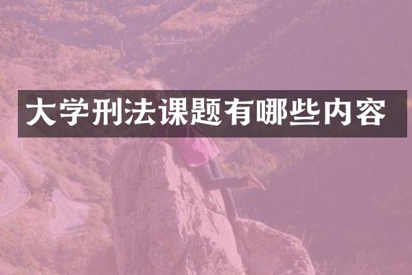大学刑法课题有哪些内容