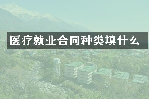 医疗就业合同种类填什么