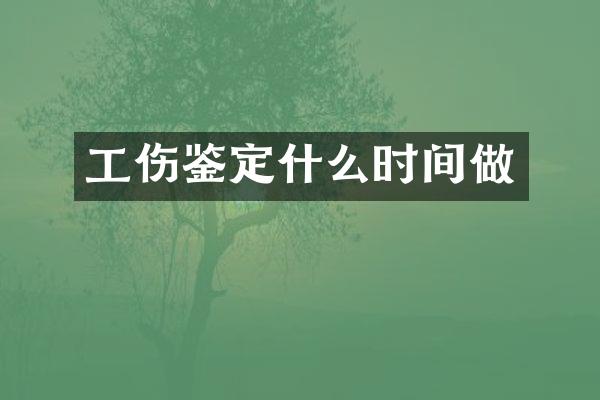 工伤鉴定什么时间做