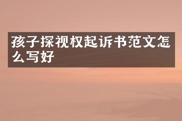 孩子探视权起诉书范文怎么写好