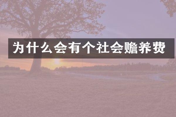 为什么会有个社会赡养费