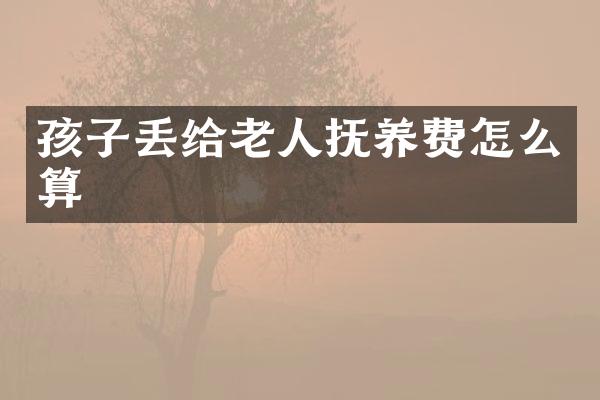 孩子丢给老人抚养费怎么算