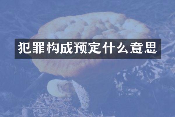 犯罪构成预定什么意思