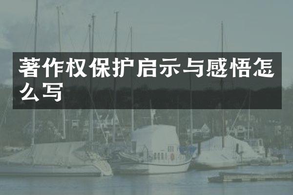 著作权保护启示与感悟怎么写
