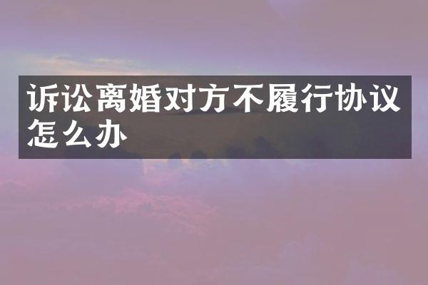 诉讼离婚对方不履行协议怎么办
