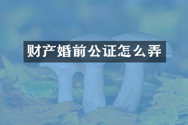 财产婚前公证怎么弄