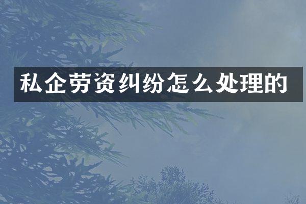私企劳资纠纷怎么处理的