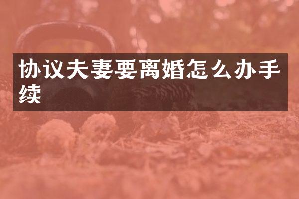 协议夫妻要离婚怎么办手续