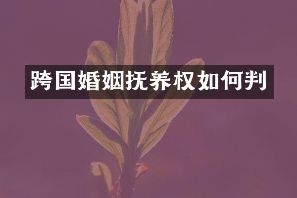 跨国婚姻抚养权如何判