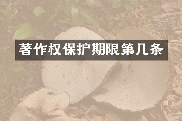 著作权保护期限第几条