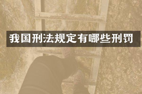 我国刑法规定有哪些刑罚