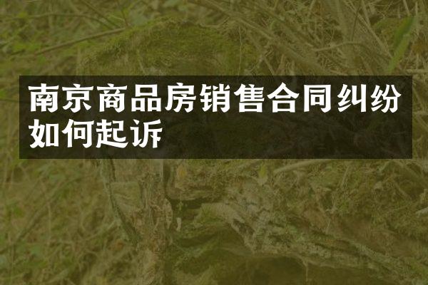 南京商品房销售合同纠纷如何起诉