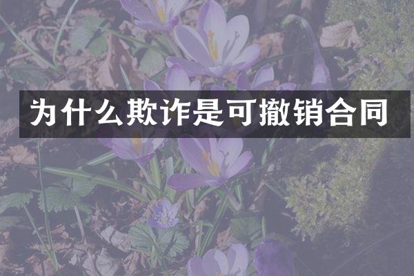 为什么欺诈是可撤销合同
