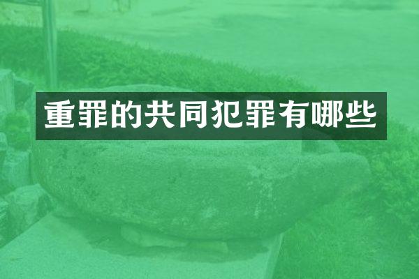 重罪的共同犯罪有哪些