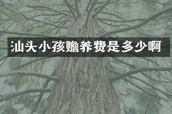 汕头小孩赡养费是多少啊