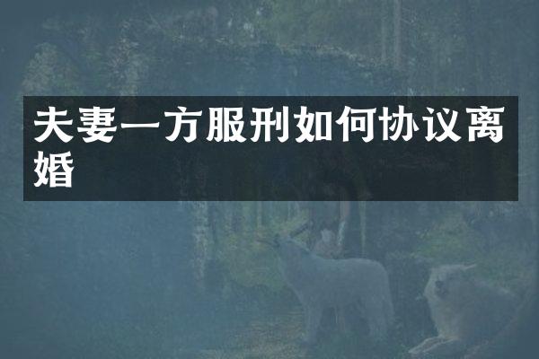 夫妻一方服刑如何协议离婚