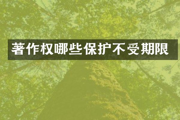 著作权哪些保护不受期限