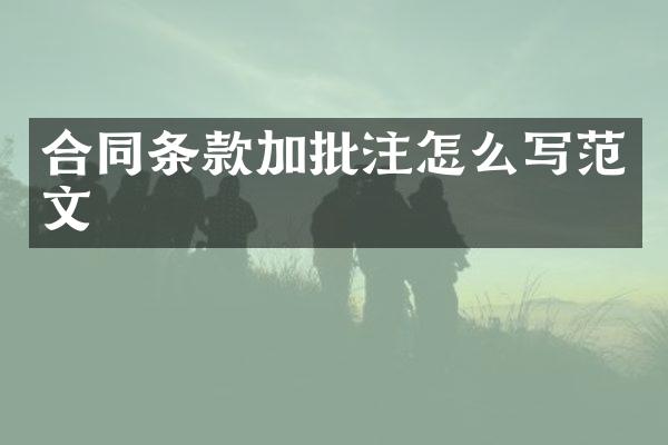合同条款加批注怎么写范文