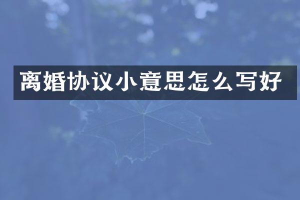 离婚协议小意思怎么写好